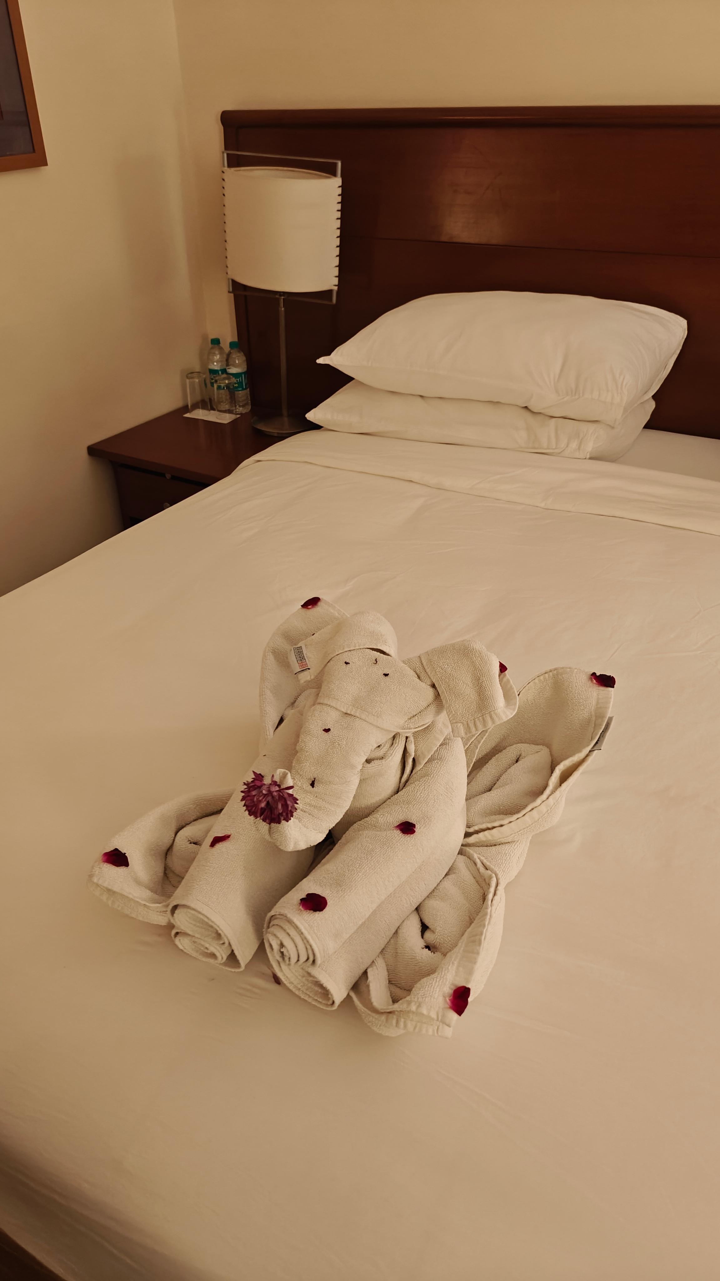 Special touch by Ramkrishna of housekeeping 