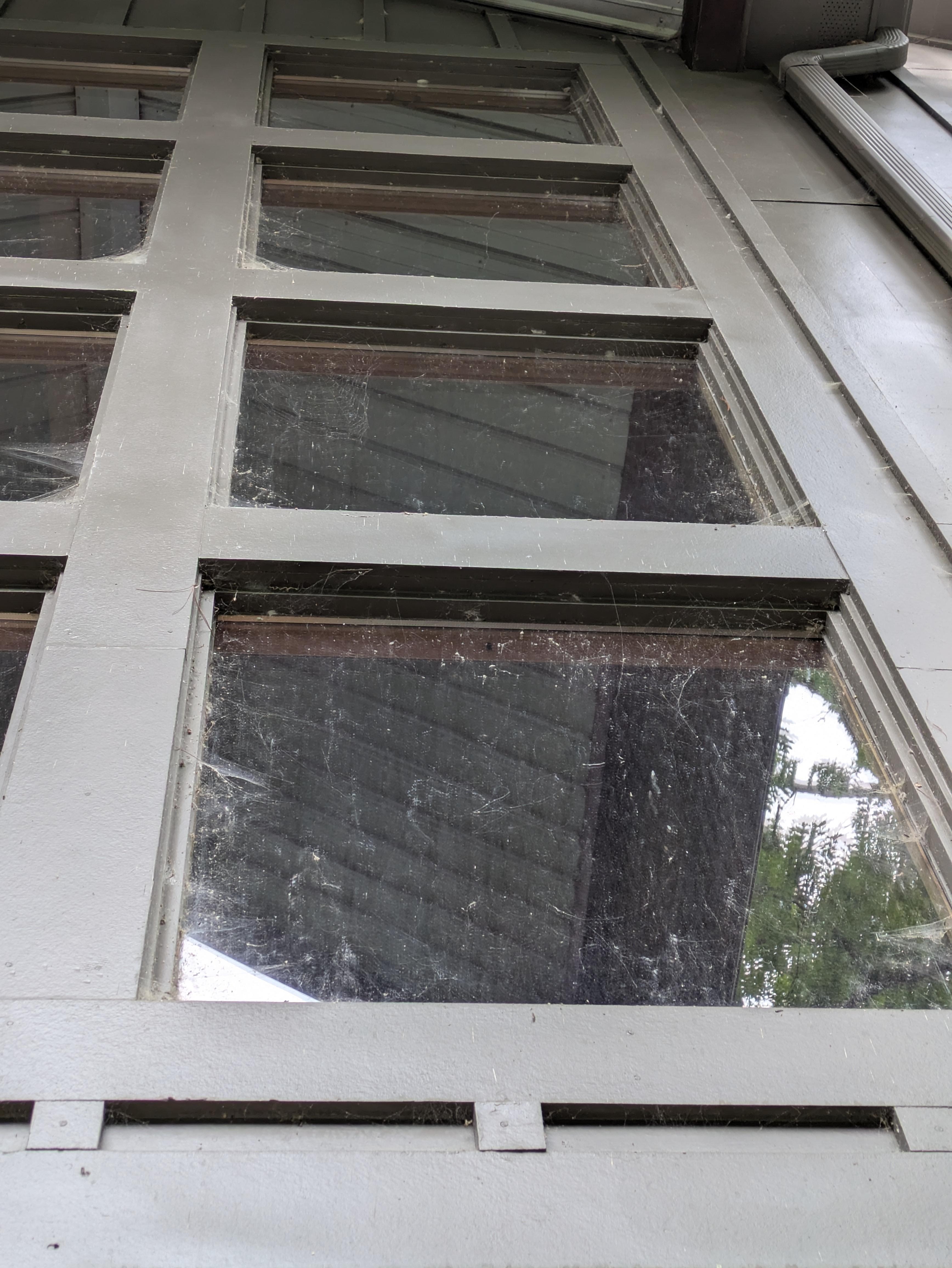 Windows need to be cleaned