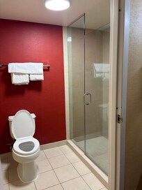 Beautiful shower separate sink