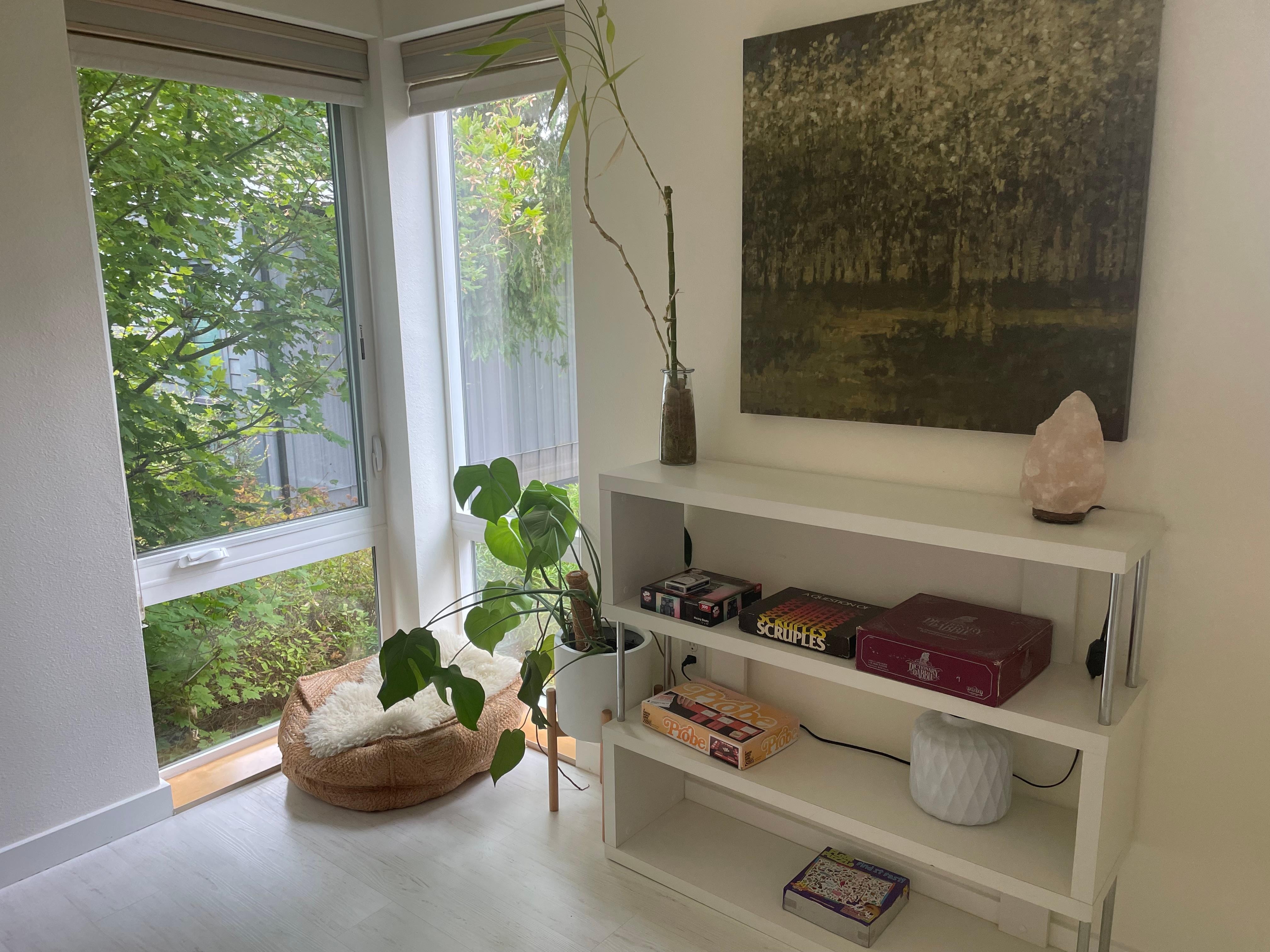 Games and other entertainment items