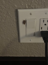 Cockroaches
