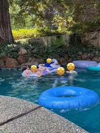 Nice pool