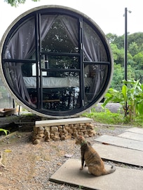 Always cats nearby in Sarawak