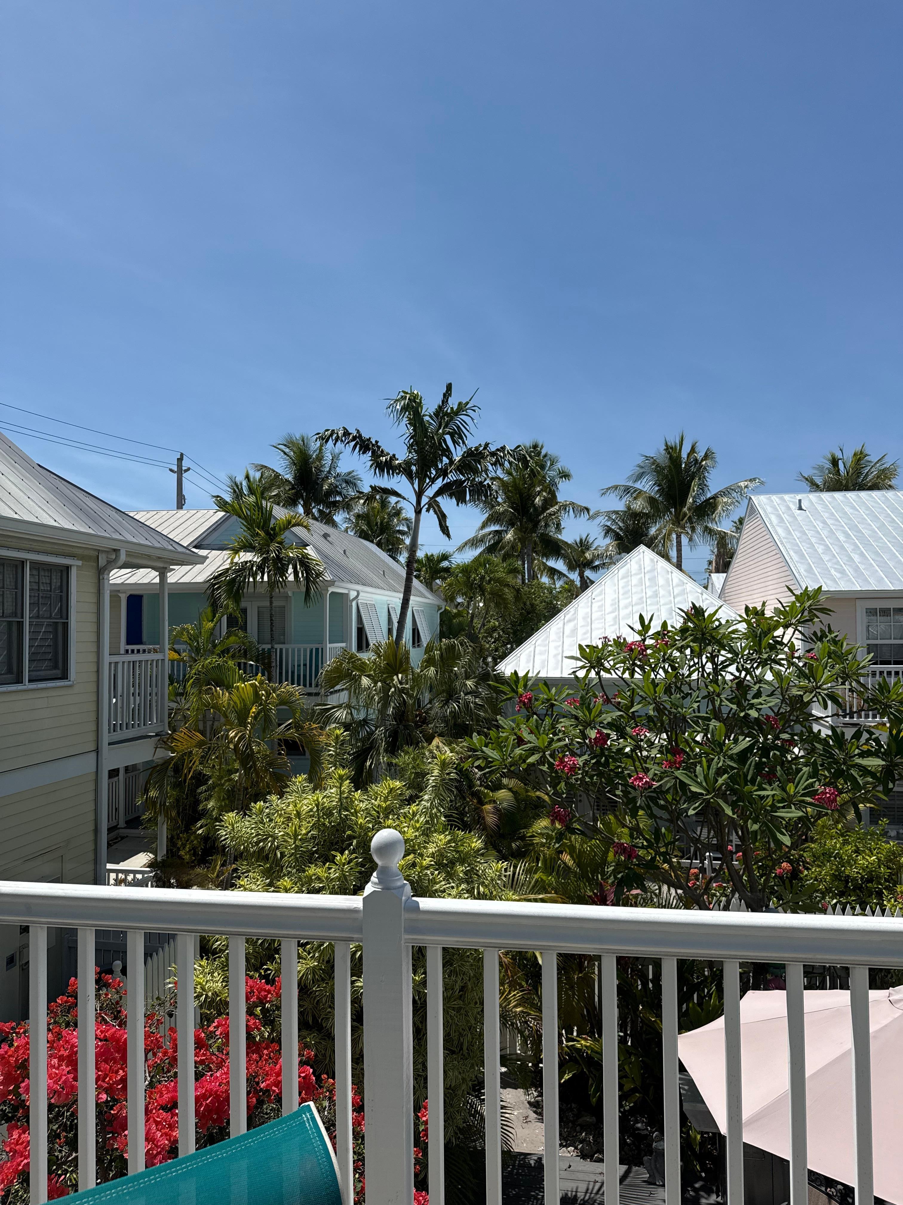 A beautiful view from the deck
