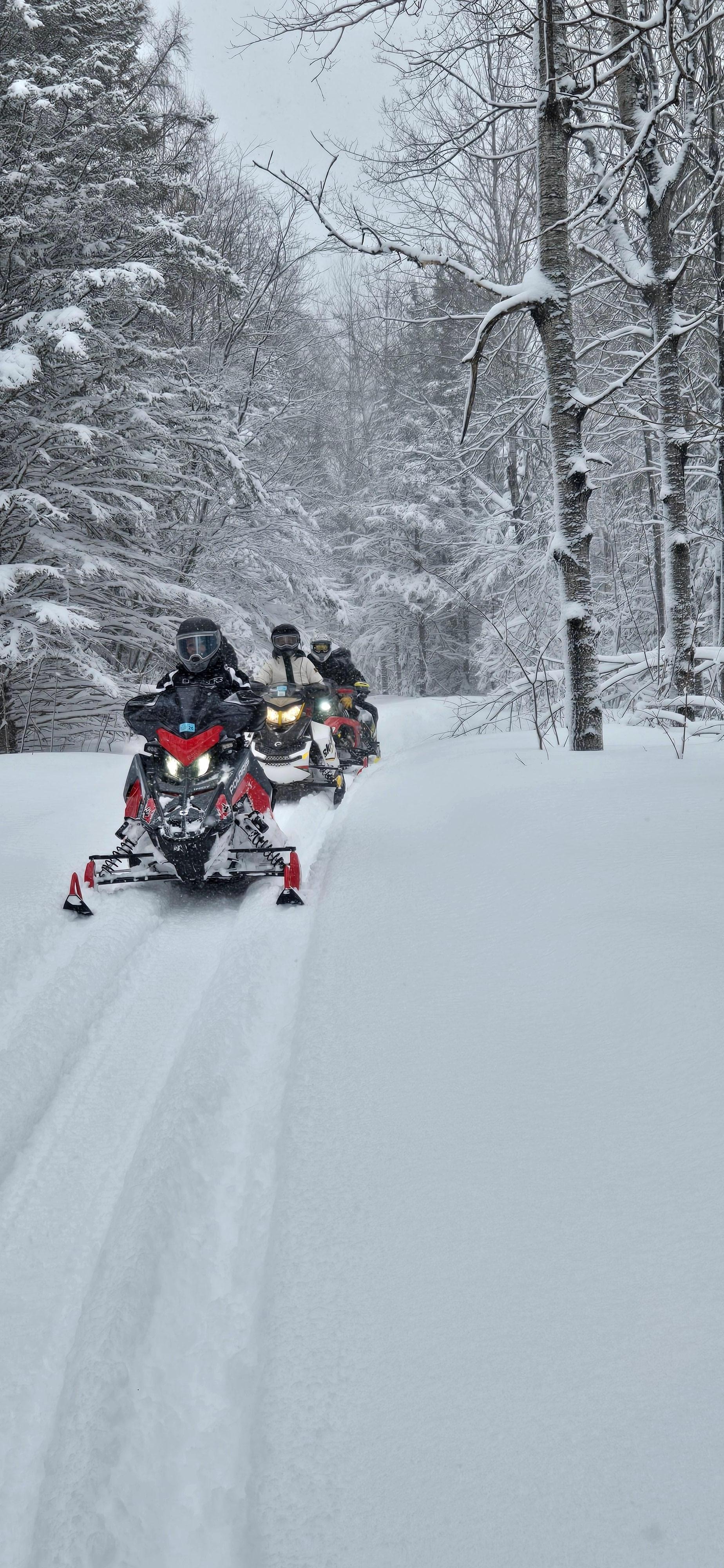 Snow covered trees on a fresh snow fall covered snowmobile trail leaving Lake Linden