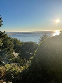 View from the back deck