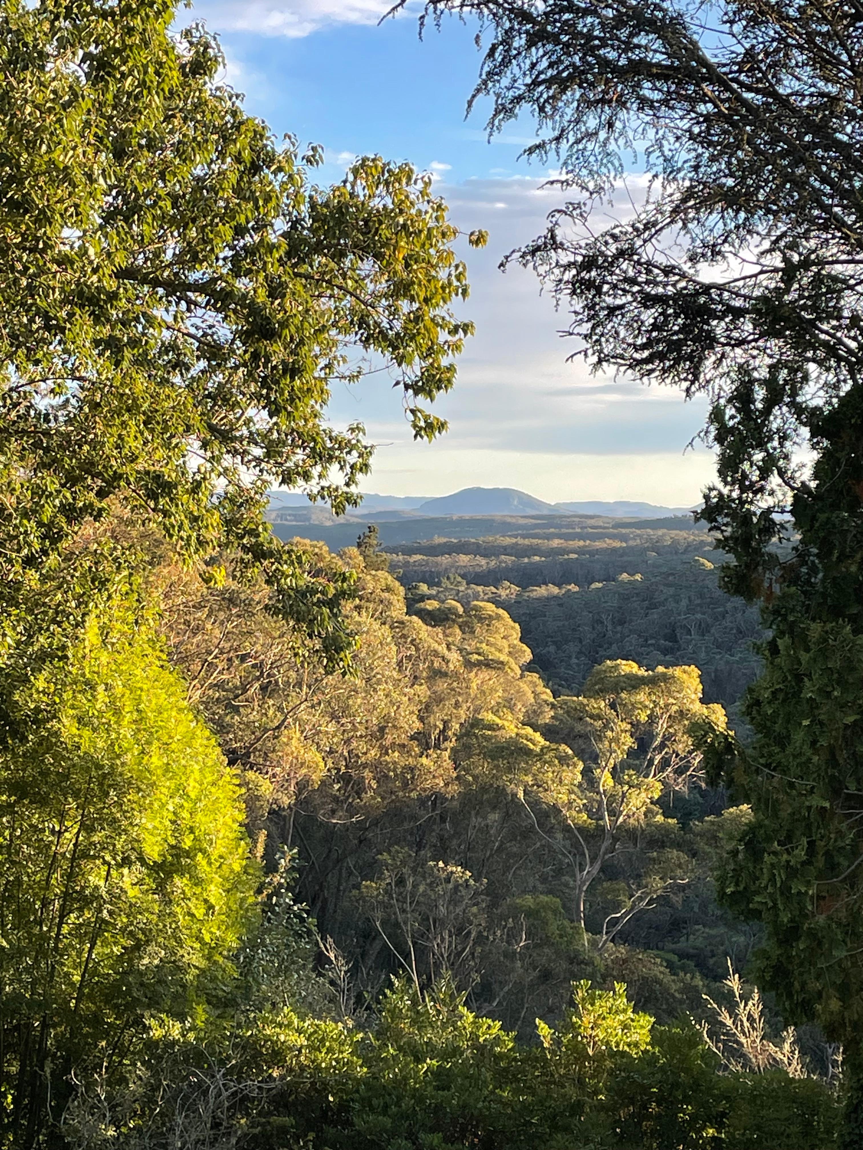 View from dining table