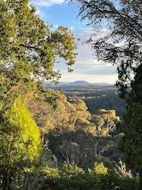 View from dining table