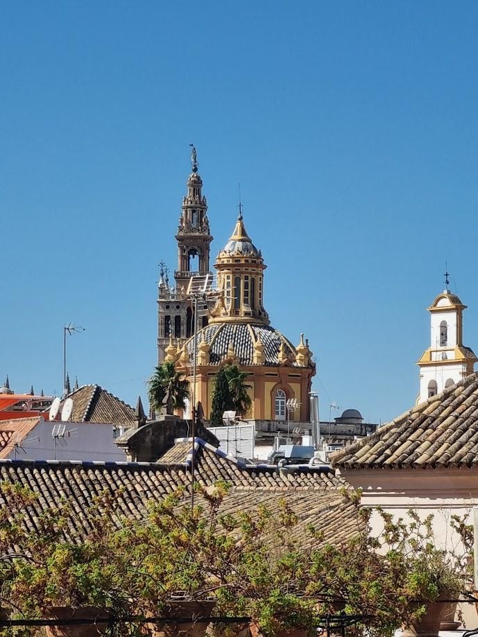 View from the rooftop terrace, pool area