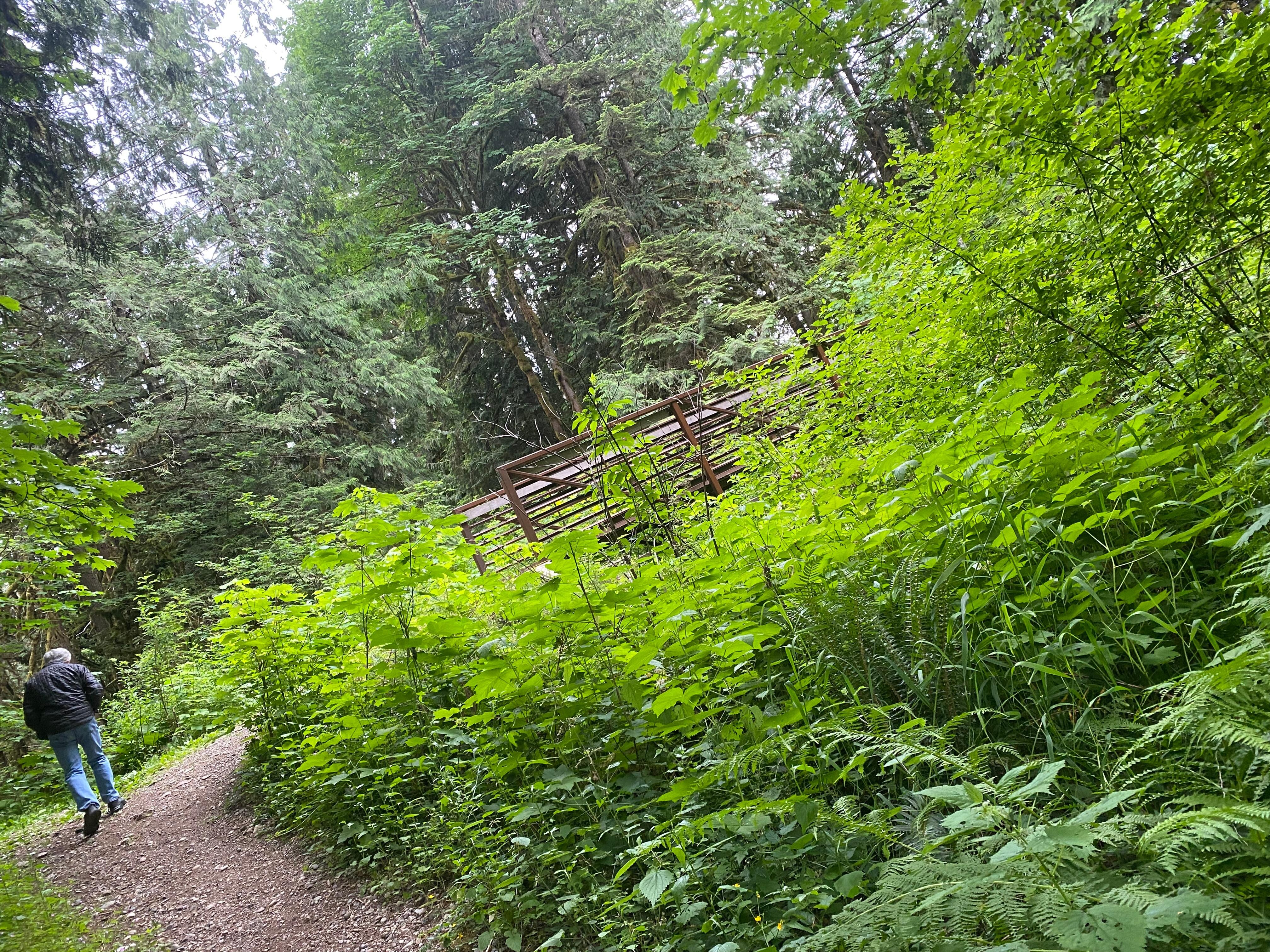 Our hike just across the road. 