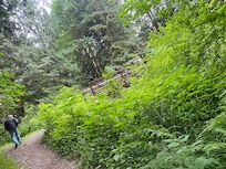 Our hike just across the road.