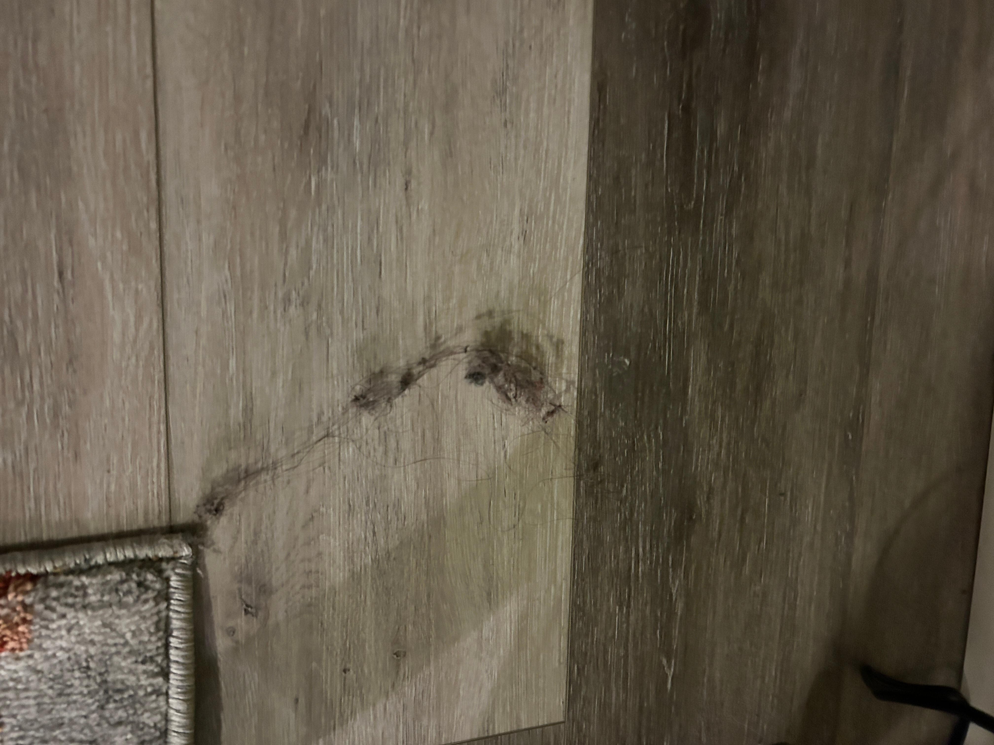 Hair balls/ dirty floors. White socks were black within mins of walking around 