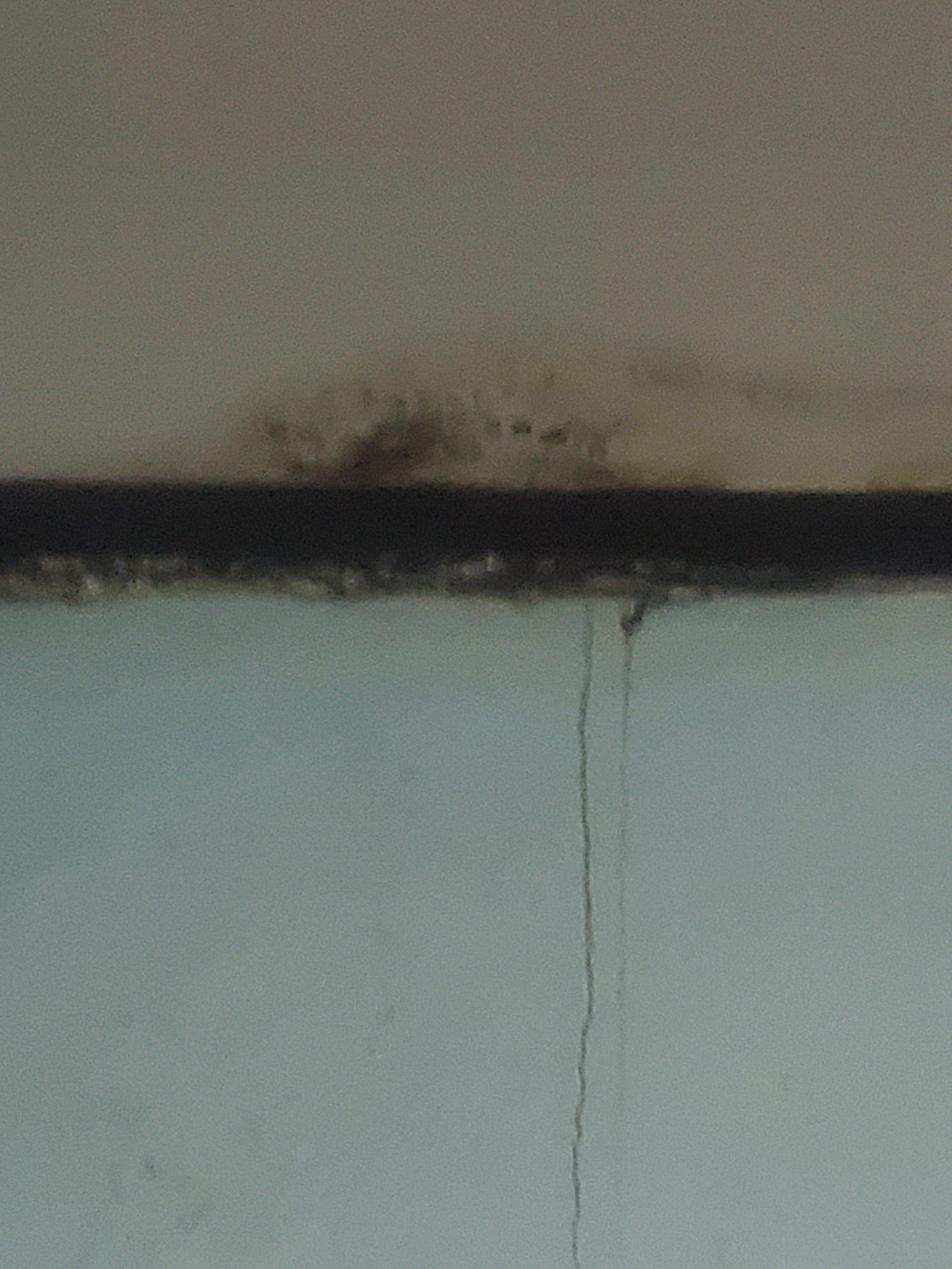 Mold here 1