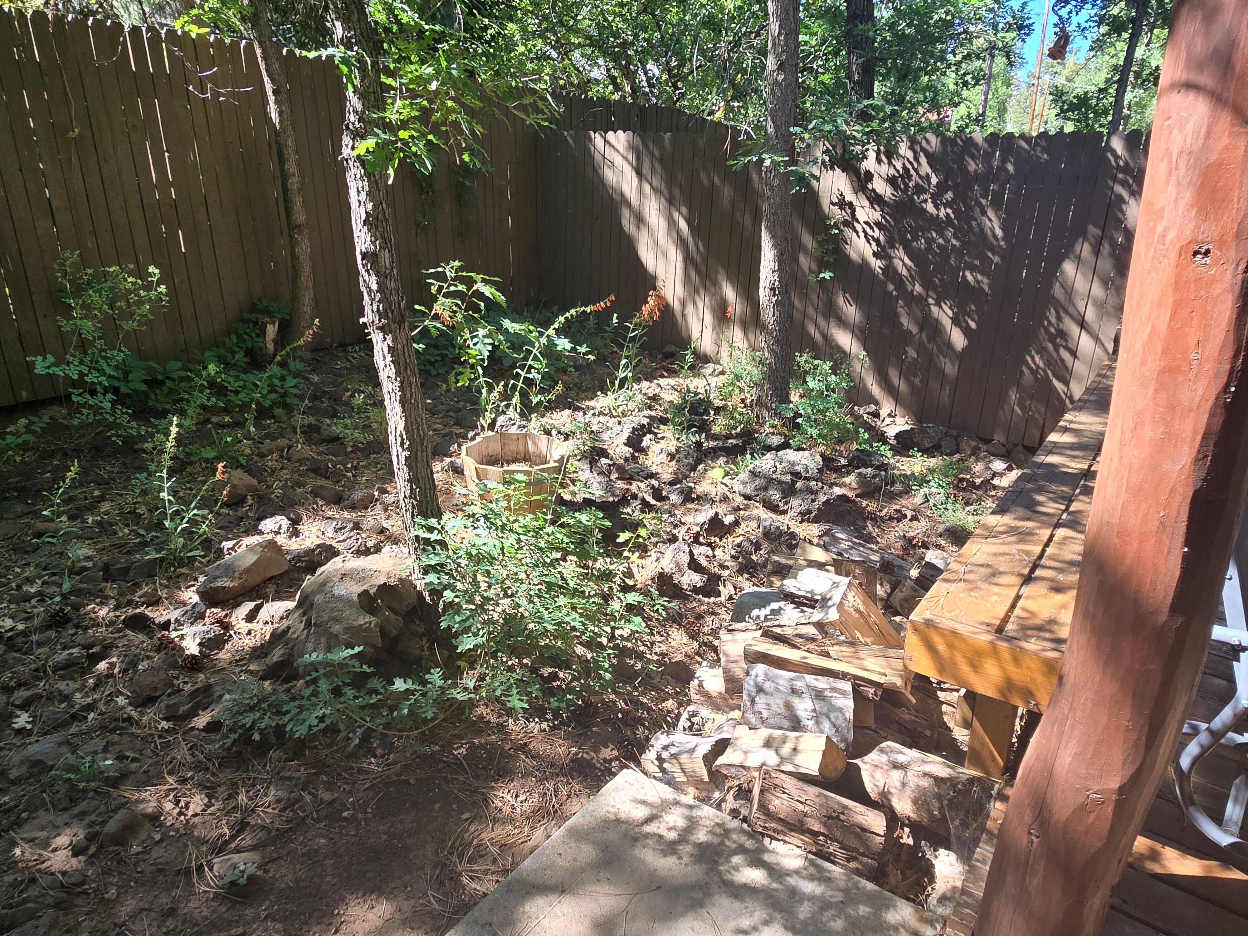 Side yard in unkempt condition