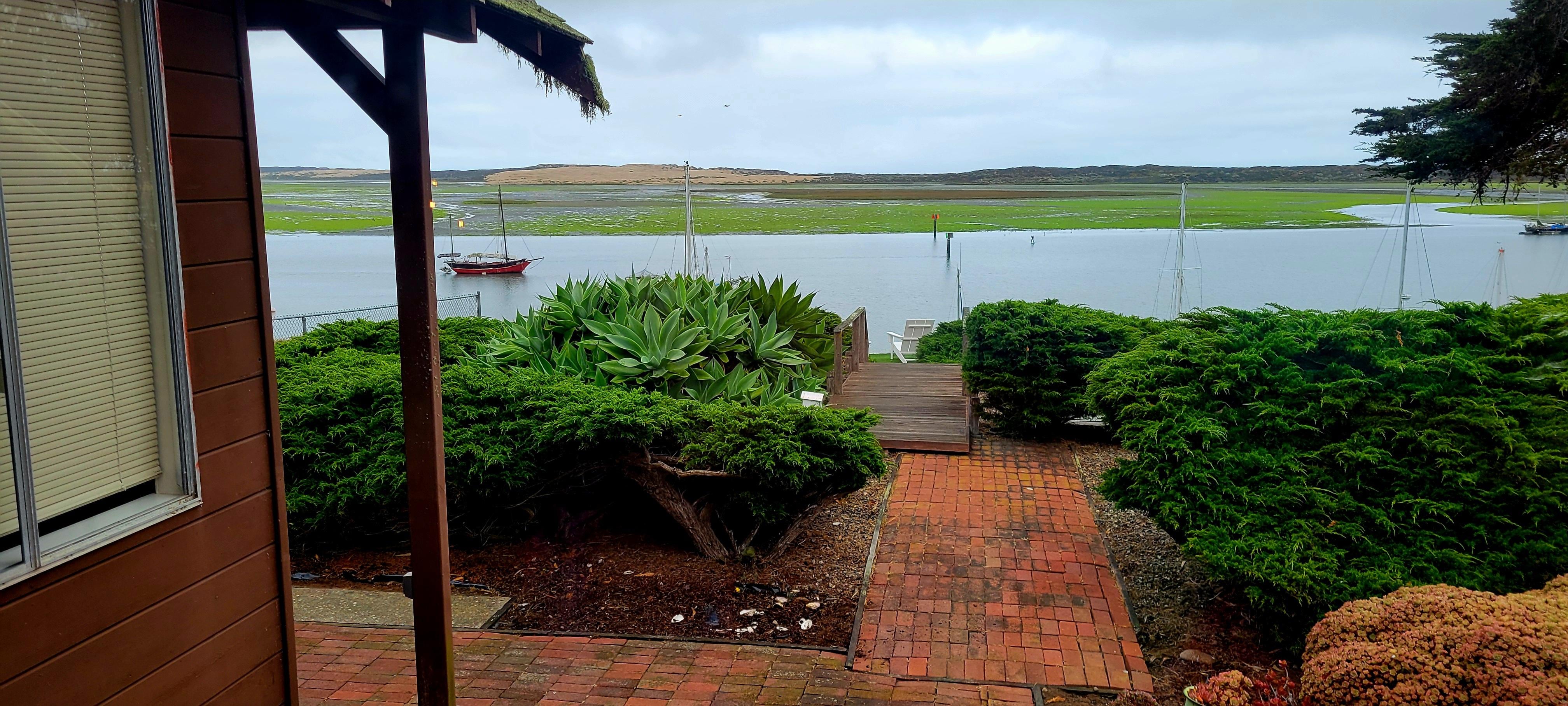 View from the back porch 