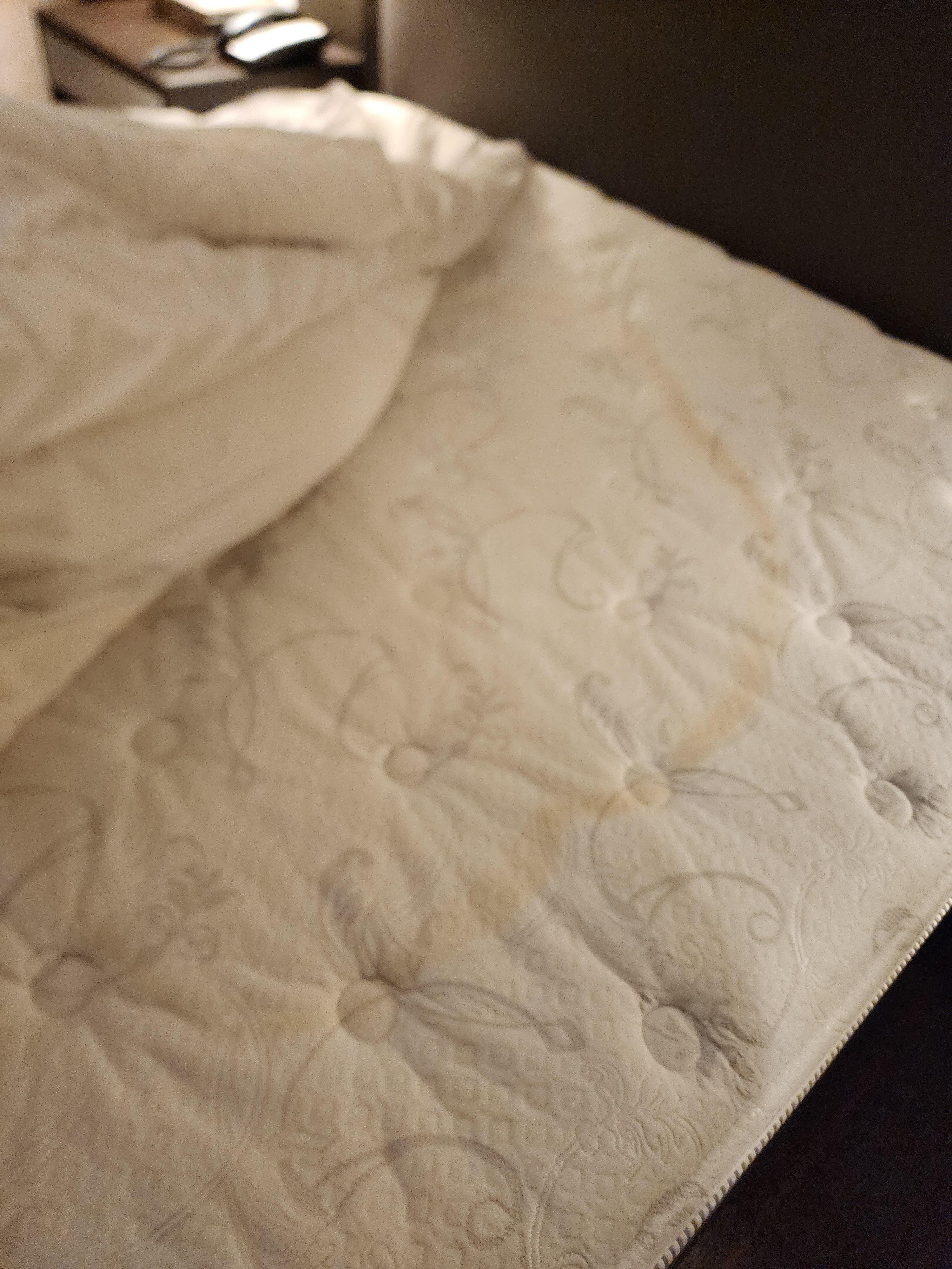 Stained sheets and mattress with foul smell in each of the 3 rooms i tried before leaving facility. Not for $226.00 per night! NO refund to paid room was given