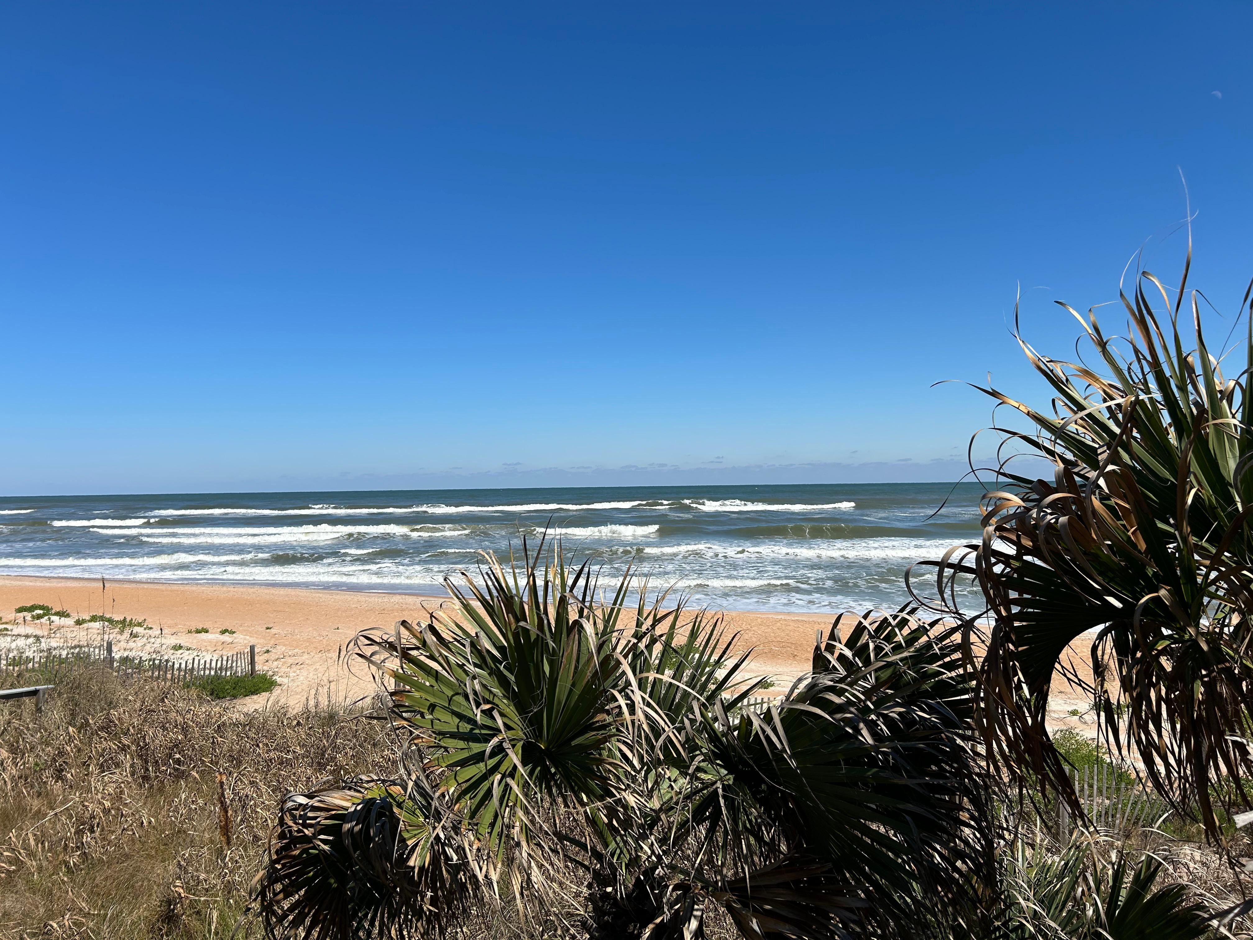 They said it was beachfront, wasn’t expecting such a beautiful view!