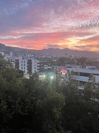 View from Hollywood Hills view room