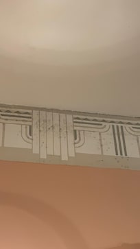 Mold all over the bathroom