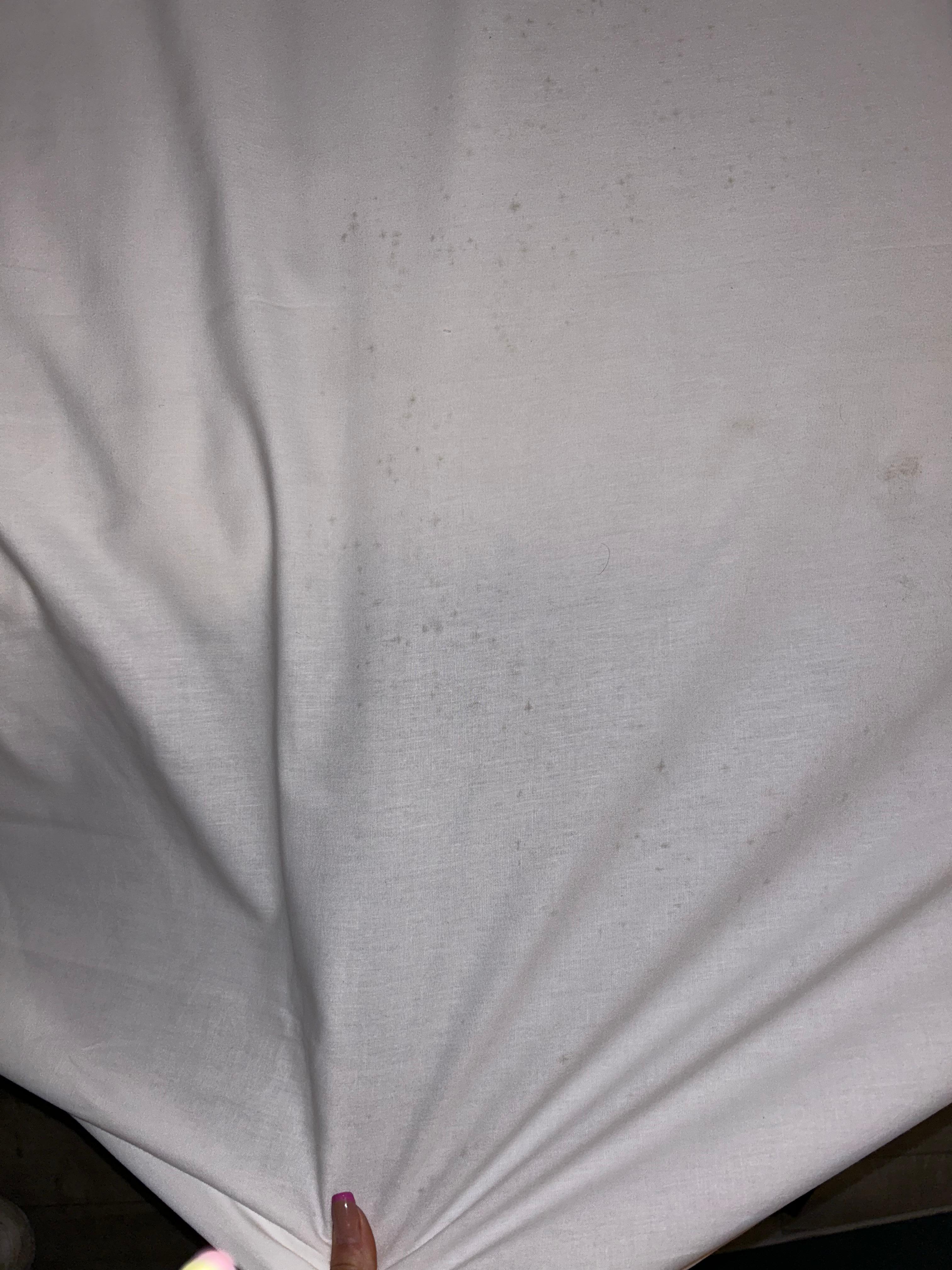 Old mould or damp? Not sure