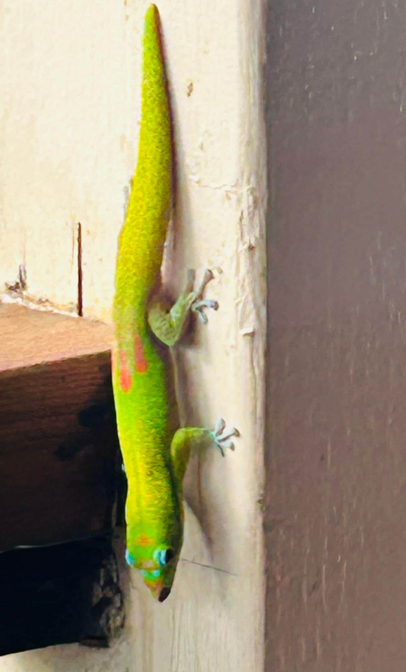 gorgeous outdoor friends 