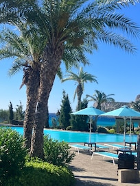 Pool and garden