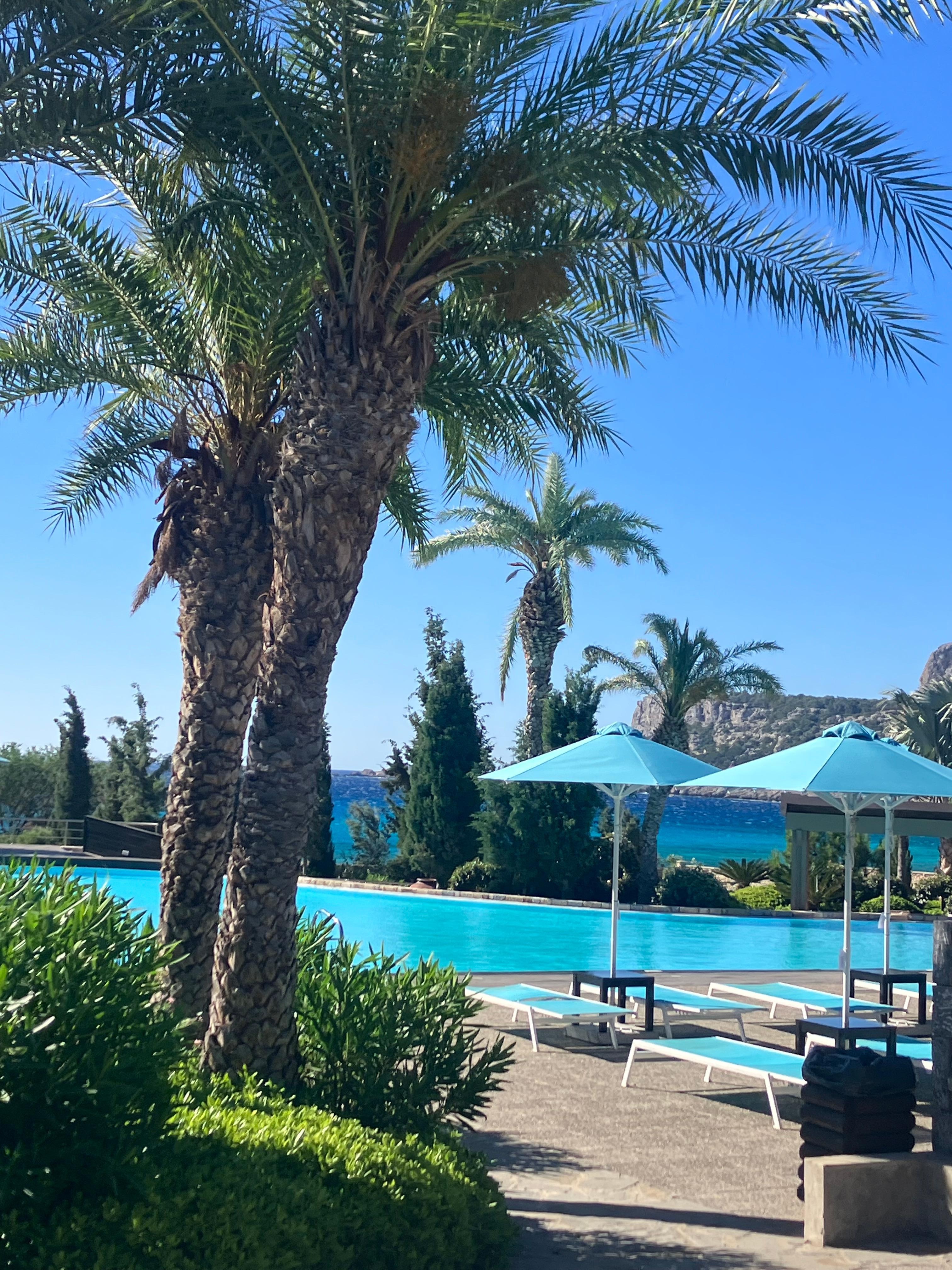 Pool and garden