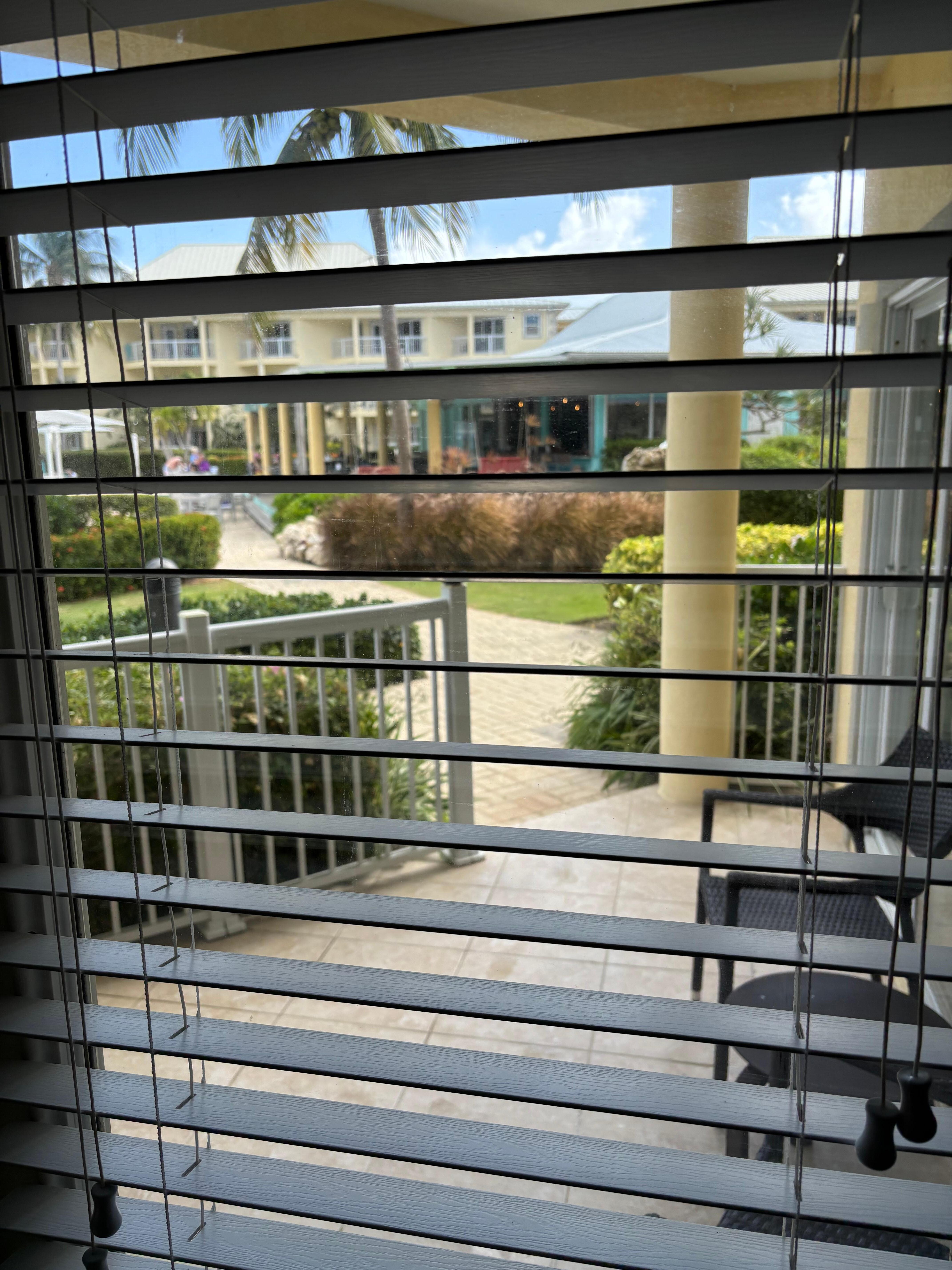 View of bar (right) & pool from bedroom door. Wish the bedroom had curtains!!