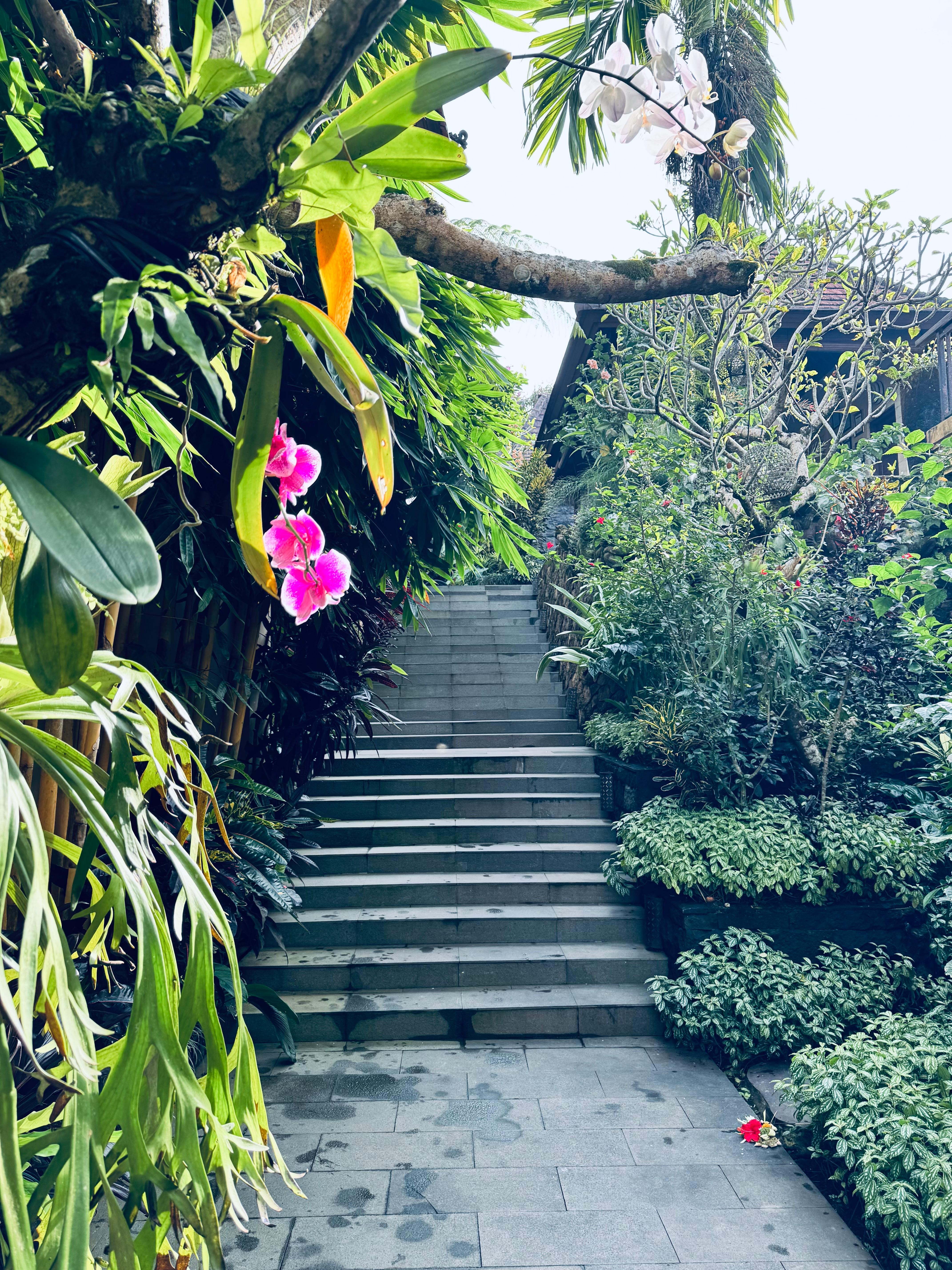 Lots of stairs down to the restaurant and villa