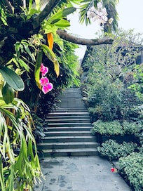 Lots of stairs down to the restaurant and villa