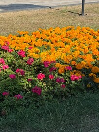 the beautiful park next to the hotel