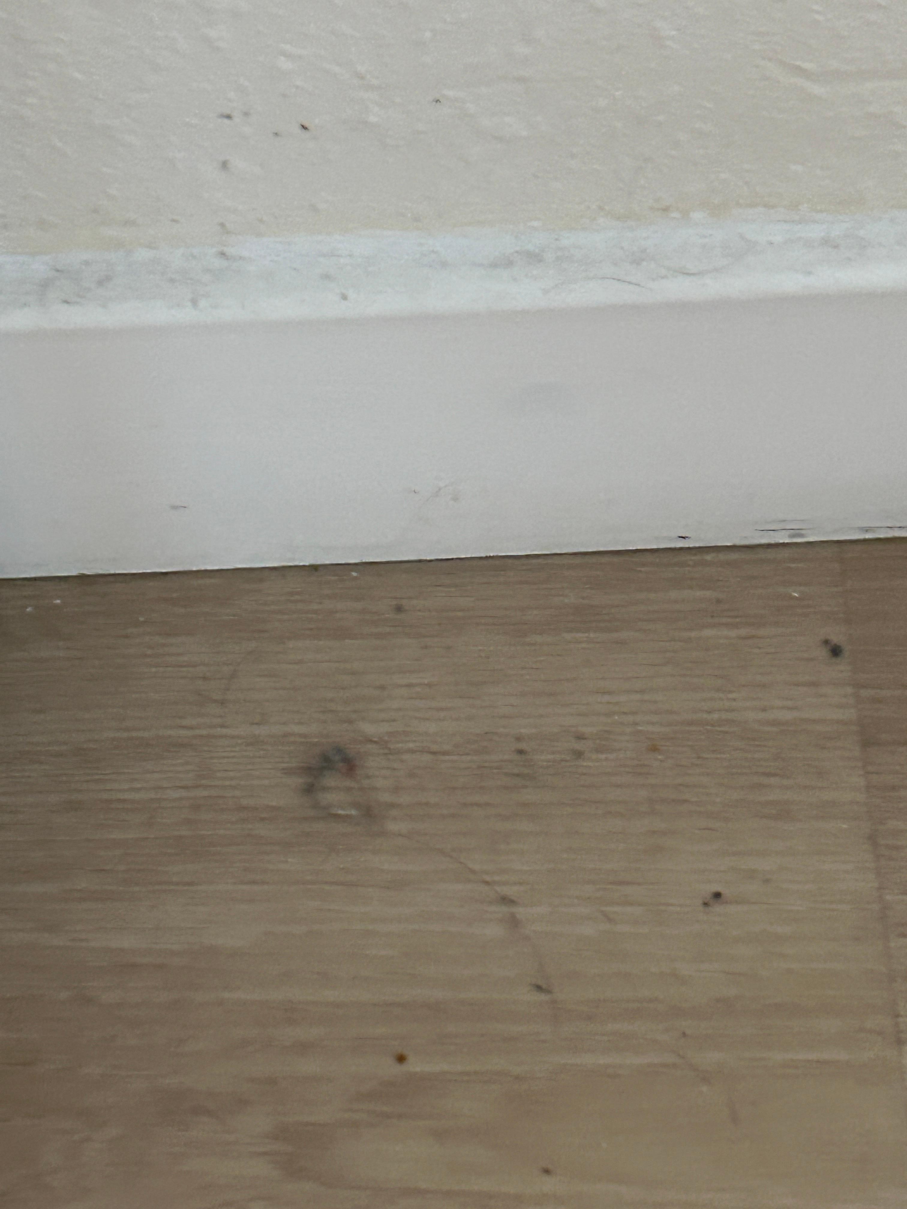 Not cleaned before our arrival