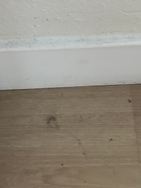 Not cleaned before our arrival