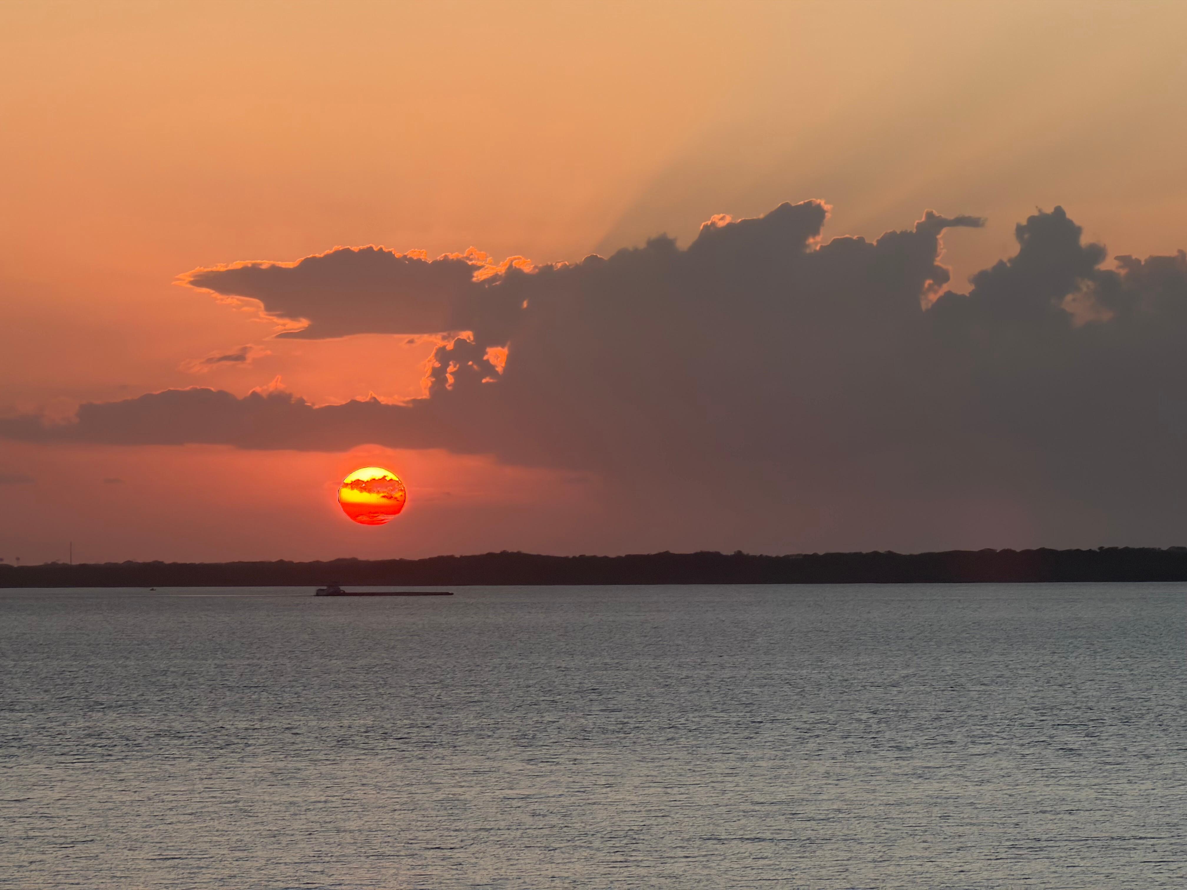 Sunset on the beech.