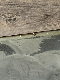 Dirty floor
