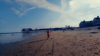 You're wthin walking distance to the Pier and all attractions.