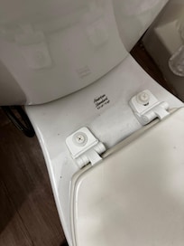 The toilet