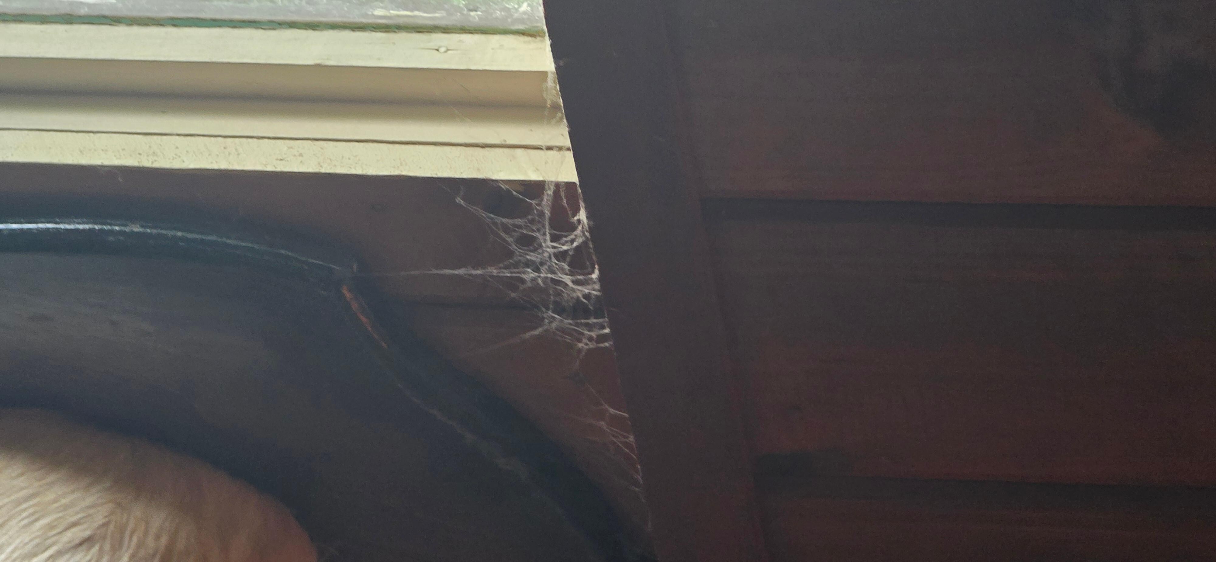 Window sills