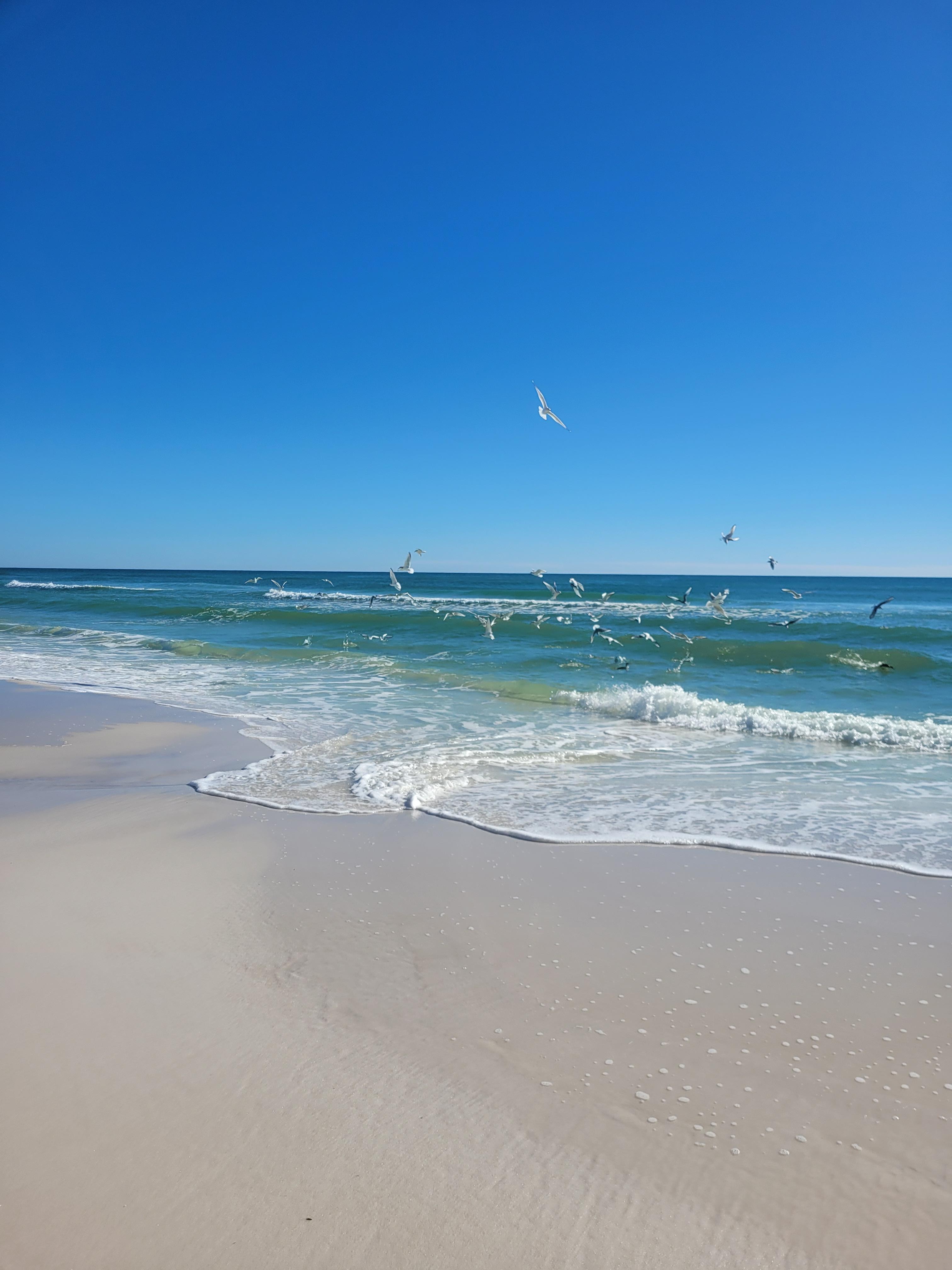 Relaxing on the beach in front of the condo