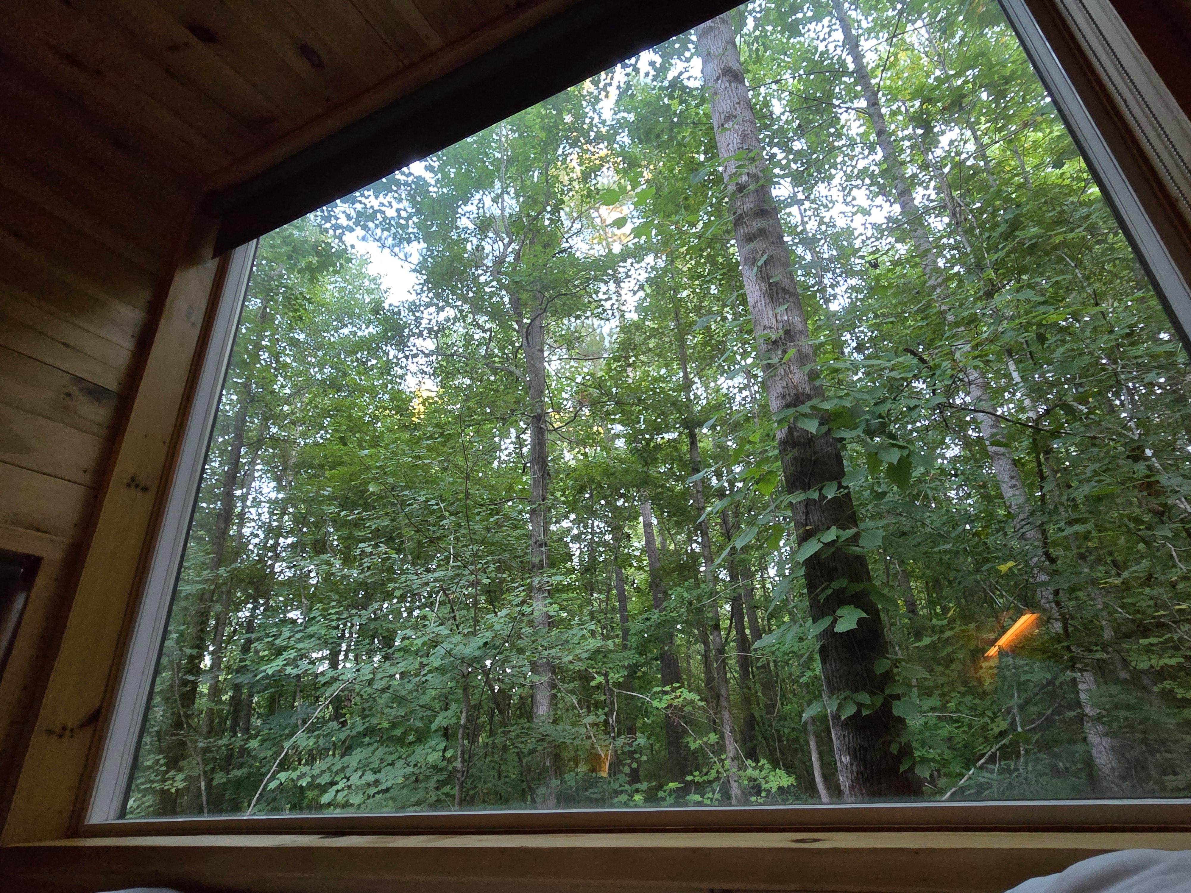 A window makes a much better view than a wall!