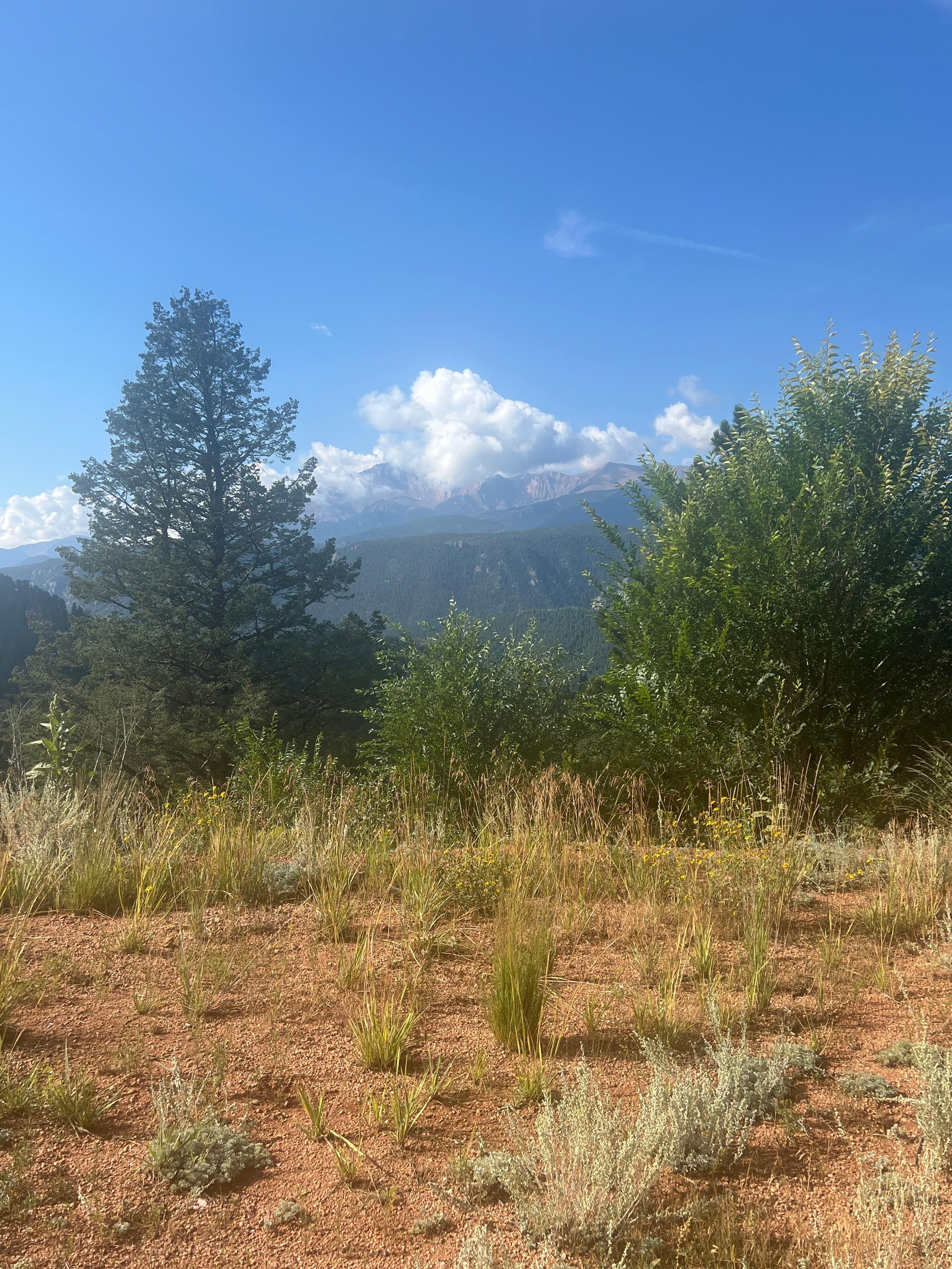 This is the view from the living room and kitchen. 