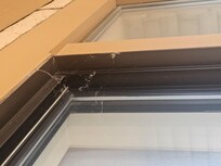 More webs
