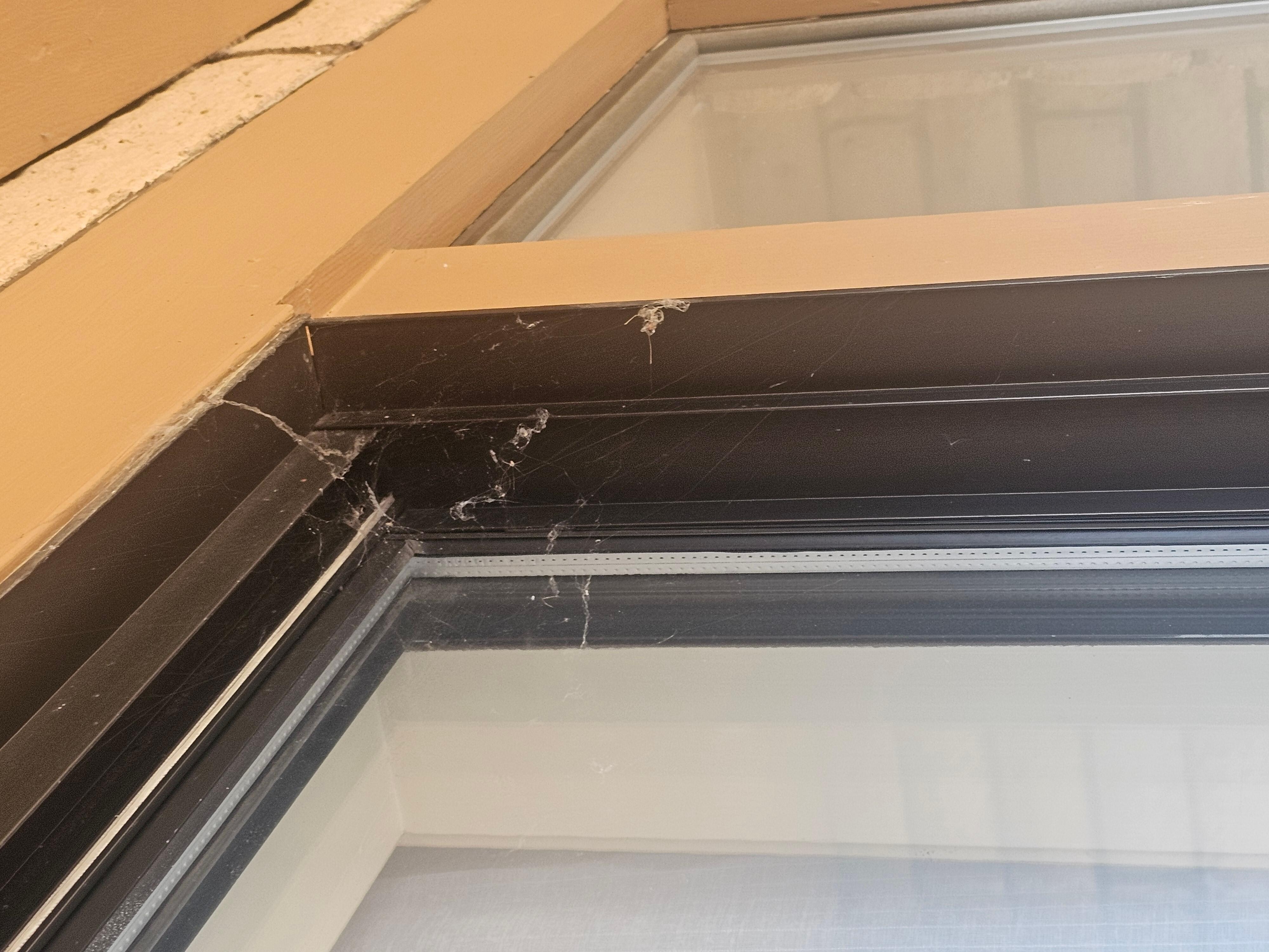More webs