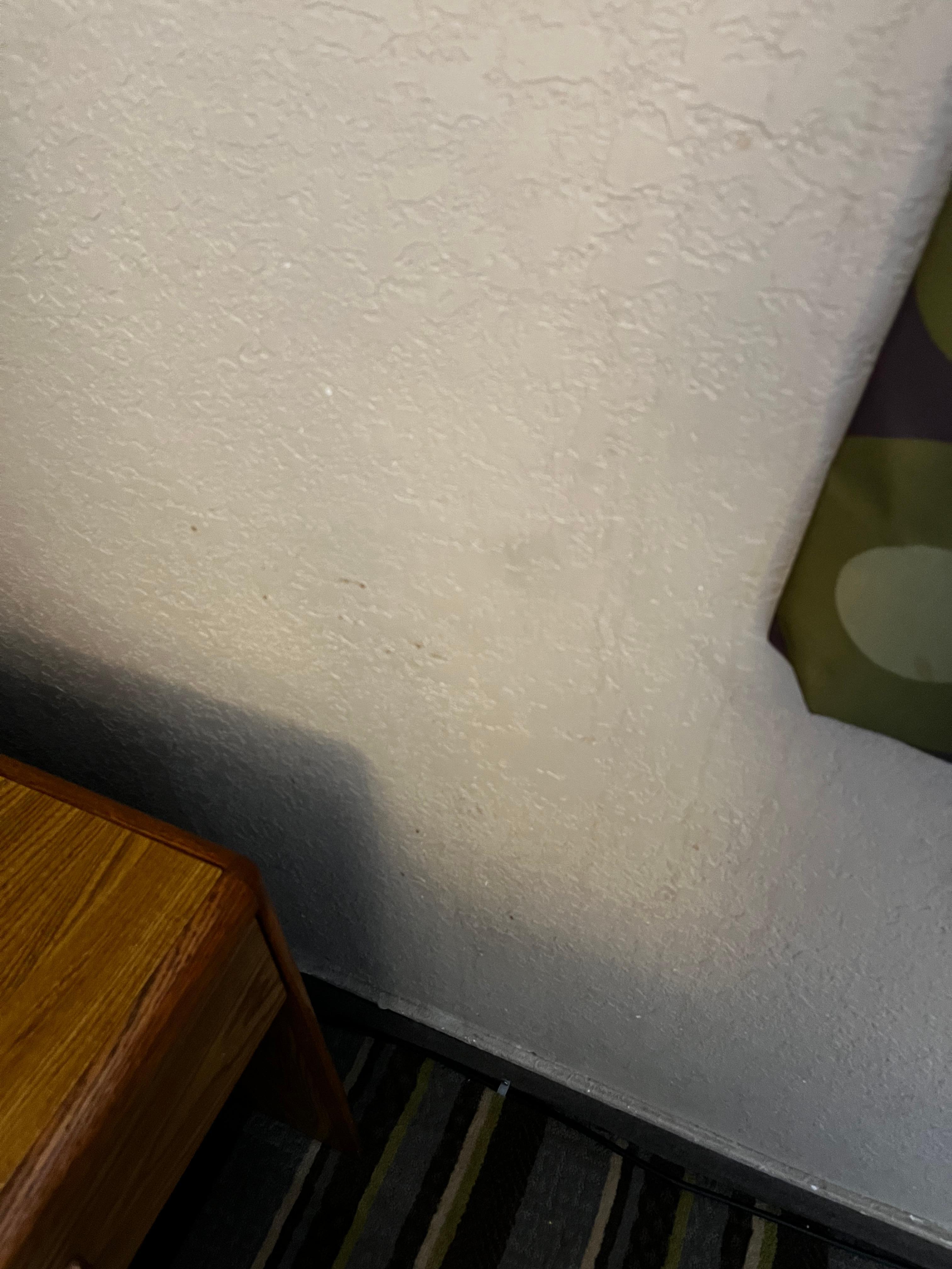 Stains/filth on walls