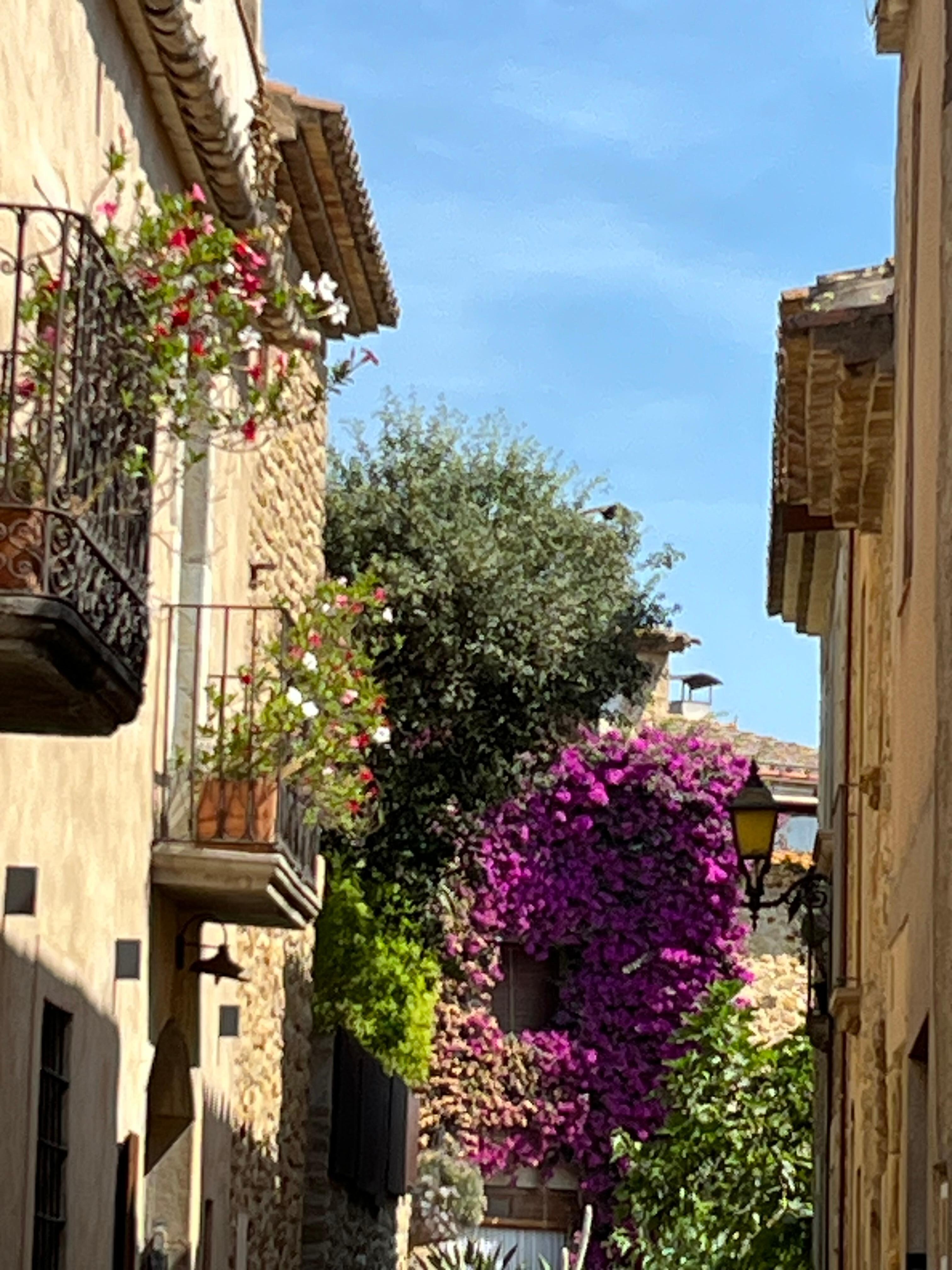 Begur