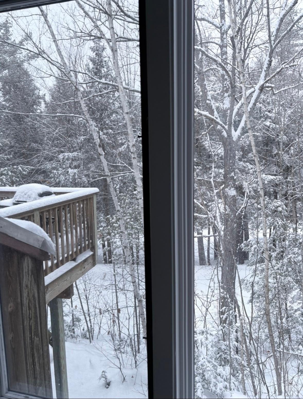 Beautiful snowy morning 