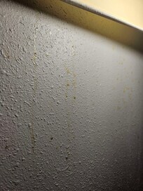 The yellow tar-like substance dripping down the walls. This was behind the lamp between the two beds, but this was happening on every wall of the room.