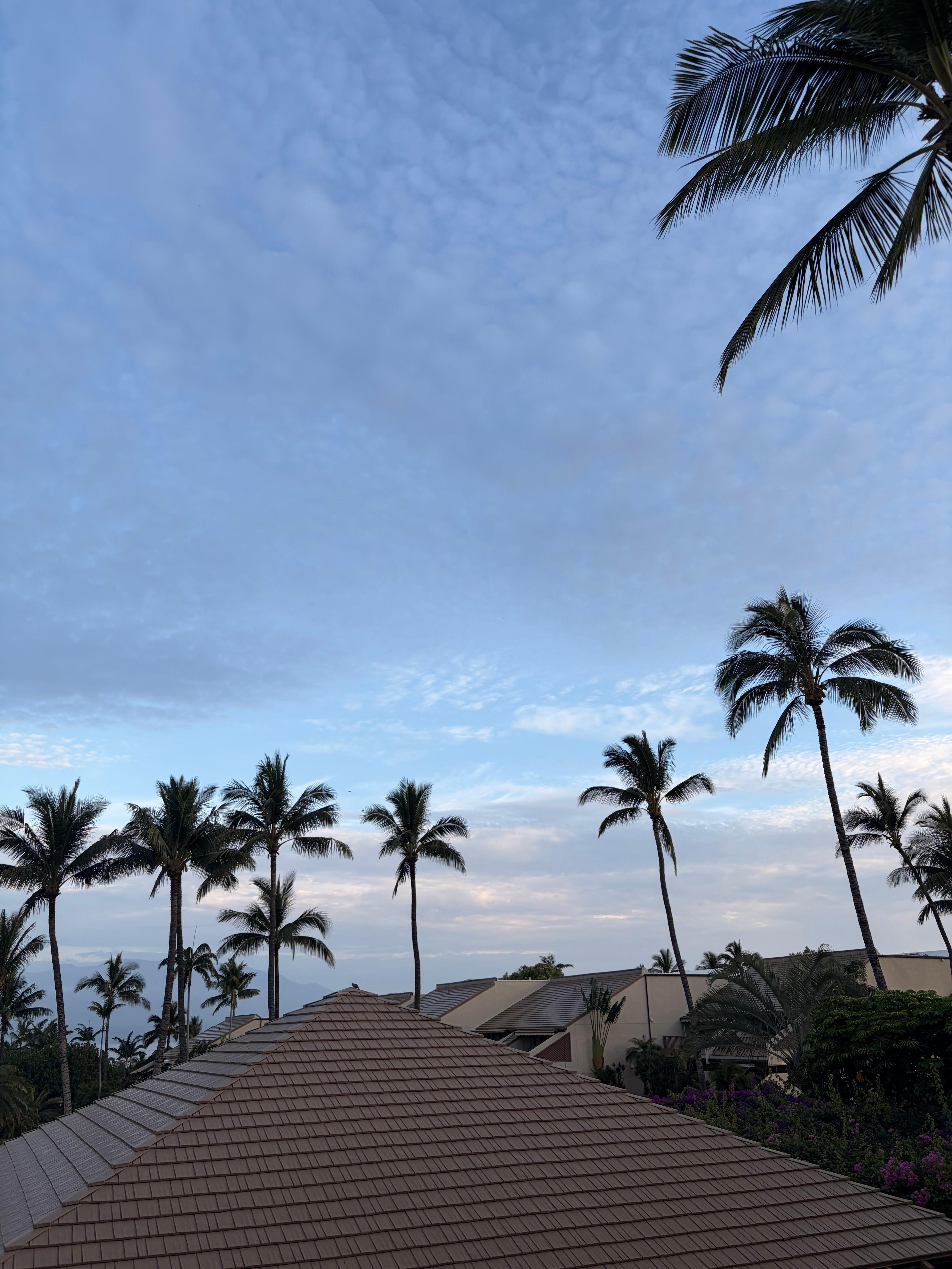 Sunset from the lanai. 