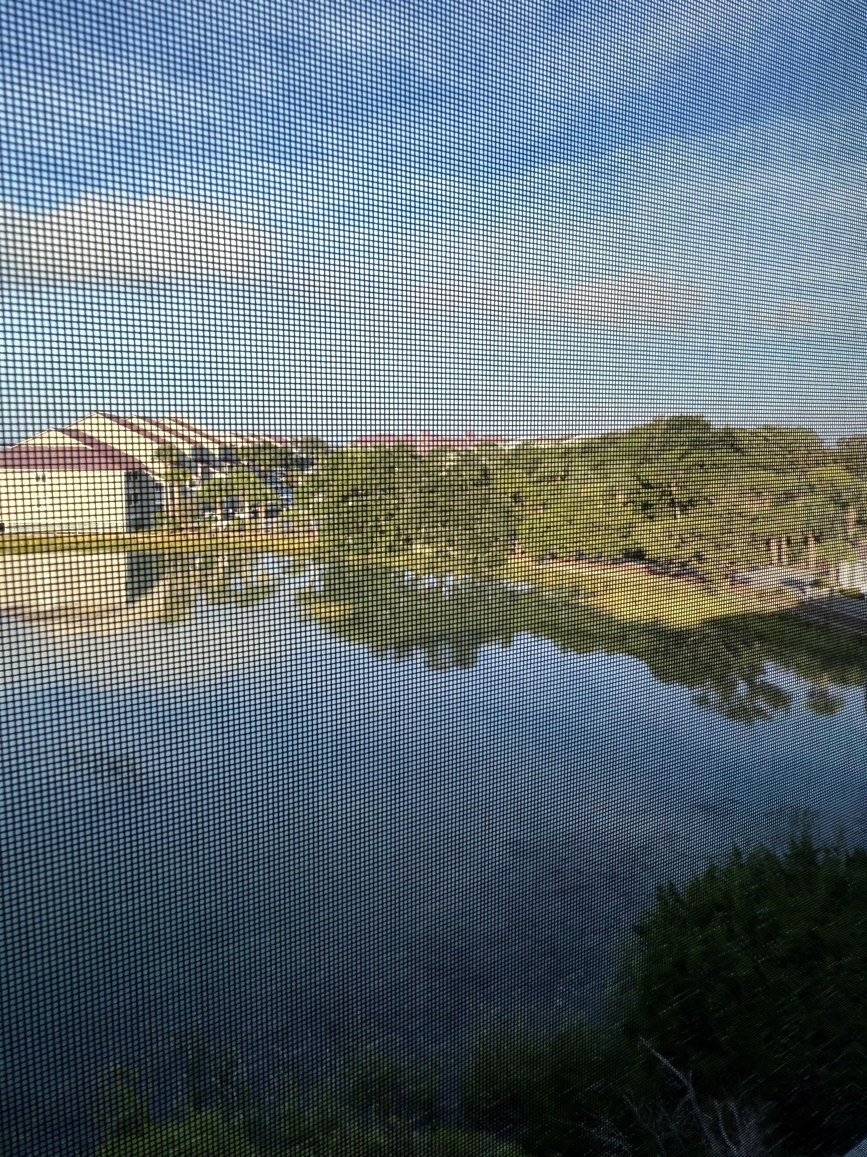 View from back porch