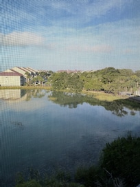 View from back porch